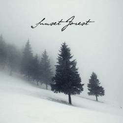 Sunset Forest : Winter Forests